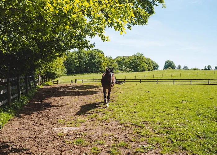 Feriehus Le D'etienne